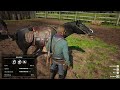 Arthur Morgan Stole horse from Cowgirl