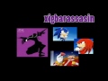 Sonic X Abridged Special-