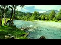 4K Evening River Forest Ambience with Birdsong | Relaxing Nature Sounds for Sleep & Meditation