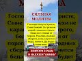 Прочитай шёпотом 3 раза Эти слова