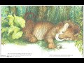The Lion and the Mouse | Aesop Fable read aloud