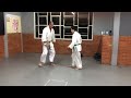 Sensei Rômulo Diogo dando aula .