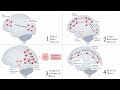 Presentation by Kallum Robinson on Theories of consciousness, Seth & Bayne 2022 Nat Rev Neuroscience
