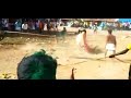 ஜல்லிக்கட்டு Comedy😂😂| jallikattu comdey videos