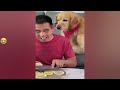 Funny Dogs And Cats Videos 2023 🤤 - Best Funniest Animal Videos Of The Month #4
