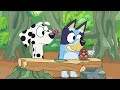 Les meilleurs amis de Bluey et Bingo de la saison 1 | Bluey Français Chaîne Officielle