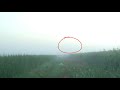 Những Pha Úp Cò / Thợ Bẫy Cò P16 - Bẫy Cò Trên Cánh Đồng / Amazing Trapping Storks Top On The Filed