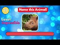 Guess 101 Animals in 5 Seconds | Easy to Impossible
