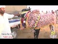 Bull Race -Majia- 26.6.2024 - hamza sky video fateh jang