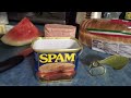 Spam Queen 