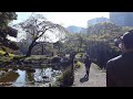 Beautiful Tokyo Garden