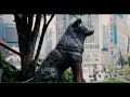 A Thousand Years - A Tribute To Hachiko