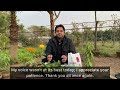 Winter fertilizer for plants | Best fertilizer for plants | Thand main podho ko konsa khad dain?