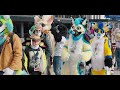 How to Go To A Furry Convention Alone | ANE 2024 Convention Vlog