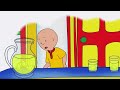 Leren fluiten | Caillou Nederlands - WildBrain