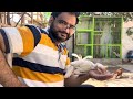 My pet house |aseel wight heera2024