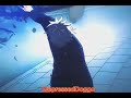 Another JJK edit #jujutsukaisen #gojo #sukuna and its too small for shorts so here is on the video