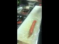 How to make sushi professionally