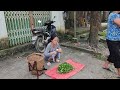 The girl went alone into the forest to pick wild vegetables to sell at the market