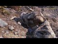 Fallout 76 gameplay - New River Gorge Bridge & Grafton monster /Archer build fun/