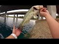 BASS FISHING!!!! (GO PRO EDTION)