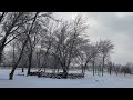 Osawatomie KS, 1/1/2021, 3:36 pm. Noisy trees after freezing rain.