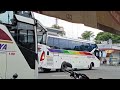 Perpal 8 Unit?? Keberangkatan bus dari Terminal Banjarnegara | Sinar Jaya - Pebepe - Eka - Budiman