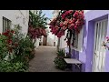 Conil de la Frontera - Flowers in pedestrian alley - Safe Place Meditation