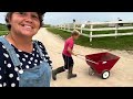 Harvesting Meat Birds, It’s a Family affair!!