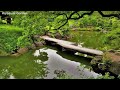 5 Japanese Gardens in TOKYO