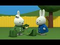 Boris is Broken! | Miffy | Miffy's Adventures Big & Small