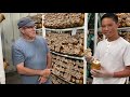 Hamakua Mushrooms Farm Tour