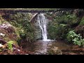 Baby Snow Monkeys in Hot Springs - Japan - Majestic Moments