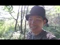 野鳥撮影Vlog「カッコウを求め奥日光・戦場ヶ原を歩く」 オシドリ、ホオアカ、アカゲラ、オオルリ、ゴジュウカラなど| Birding in Japan shot on SONY α1