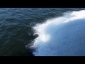 RANDOM VIDEO OF WATER