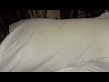 An Honest Review of Eli & Elm Ultimate Side Sleeper Pillow