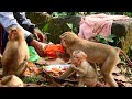 Little Rico screaming so happy when he got some grapes & all kids are enjoyable eating breakfast