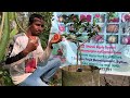 My Biggest BLOOD ORANGE Harvest and Review #BANGLADESH  #sylhet