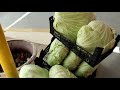Qatar vegetable market | Alkhor and Al Thakira Vegetable Market | Qatar Vlog | #Nstyle
