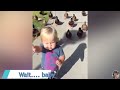 Try Not To Laugh 😜 Babies Have Failed Chickens Moments #2 - Funny Babies and Pets