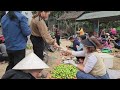 FULL VIDEOS:180 Days of harvesting luffa,yam,lychee,plum,bamboo shoots,going to the market to sell