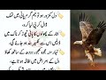 Sunahry Haroof in Urdu ! Motivation in Urdu ! Best Quotes About Life ! Deep Words in Urdu & Hindi