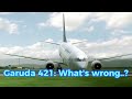 Garuda indonesia flight 152,421,200 Sad story - Part 2