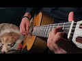 The Last Of Us Fingerstyle Guitar Main Theme