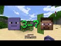 BEST Minecraft Player vs HACKER