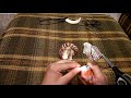 How To Tie A Giant Spondylus Pendant Necklace, with partial beads