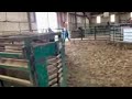 Brynn Rides, extreme horseback riding IMG 1895 2