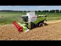 CLAAS LEXION 740 bei der Gersteernte / Ernte 2024 / 4K