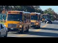 Even MORE School Buses in Montgomery County! (October 2021)