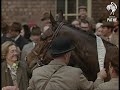 The Grand National (1965)